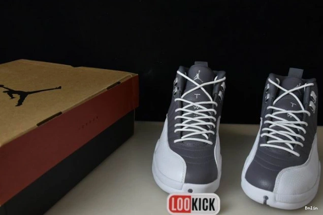 Bmlin Shoes AIR JORDAN STEALTH 12 CT8025-610 0729
